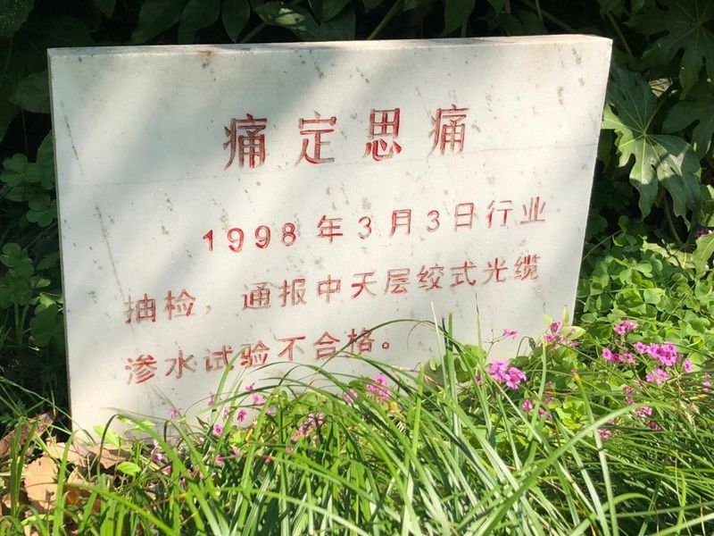 万象城AWC(中国区)体育有限公司