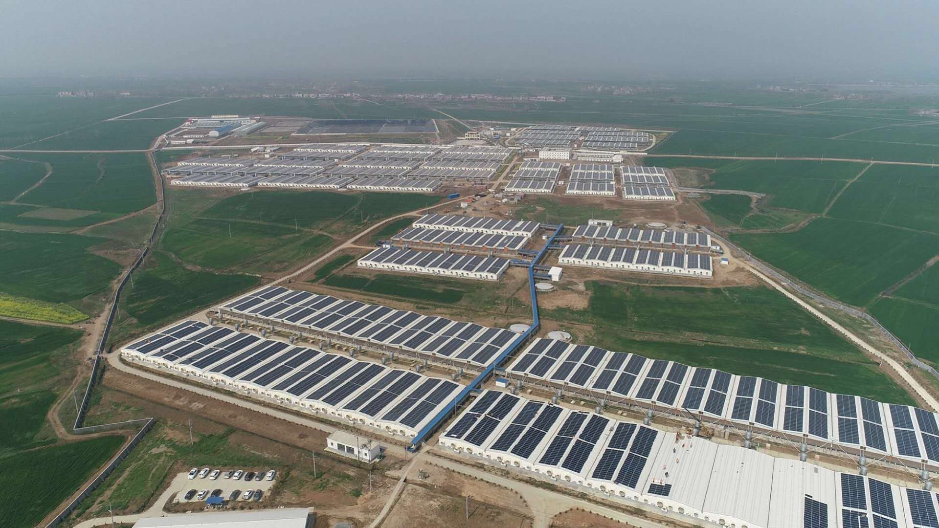 万象城AWC(中国区)体育有限公司